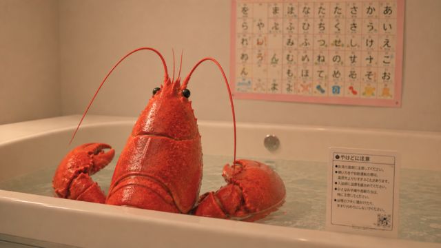 情報を消したら、あいうえお表を読み始めた。